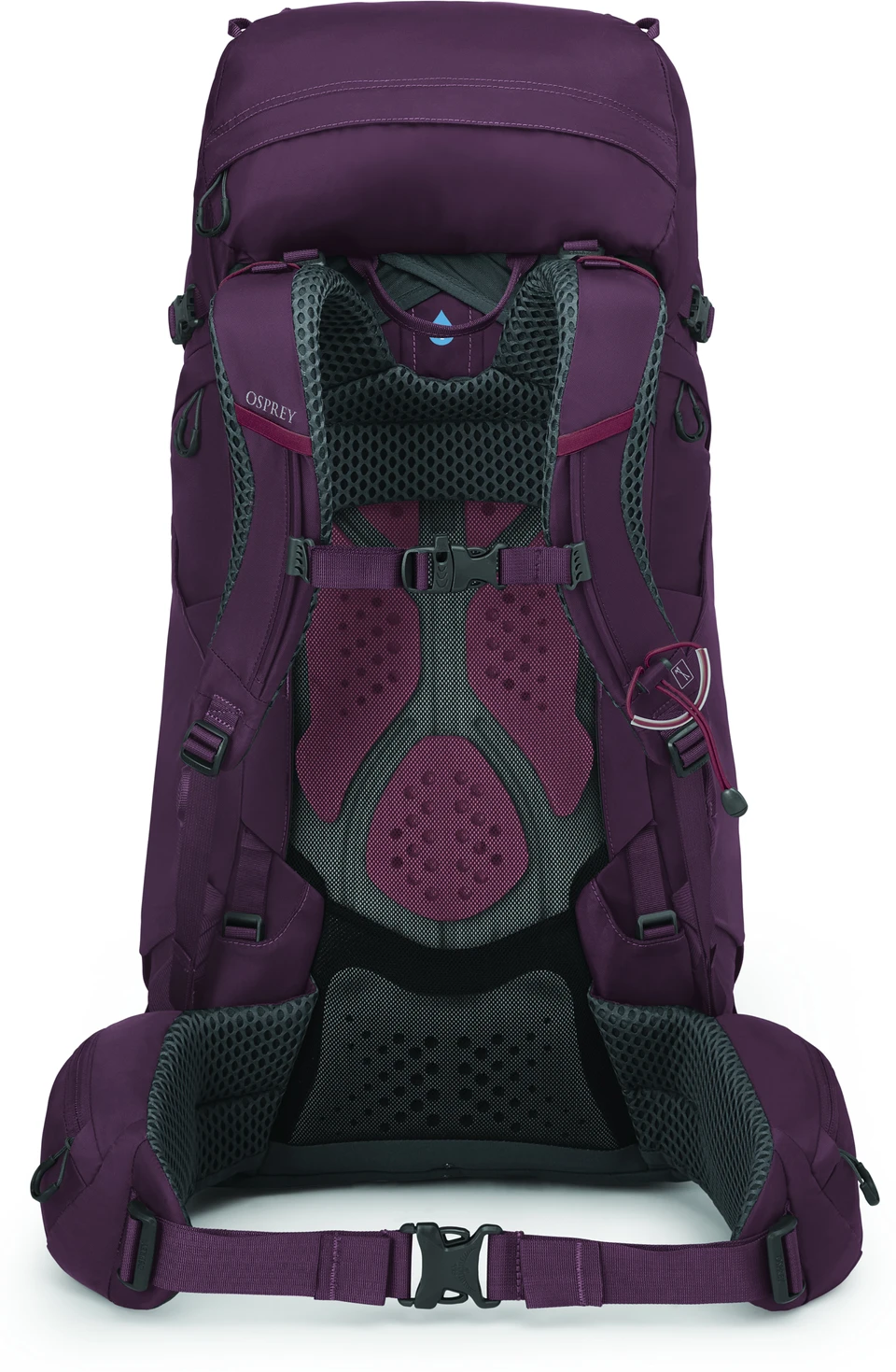 OSPREY Rucksack Kyte 48 4 OSPREY Rucksack Kyte 48 – Bild 2
