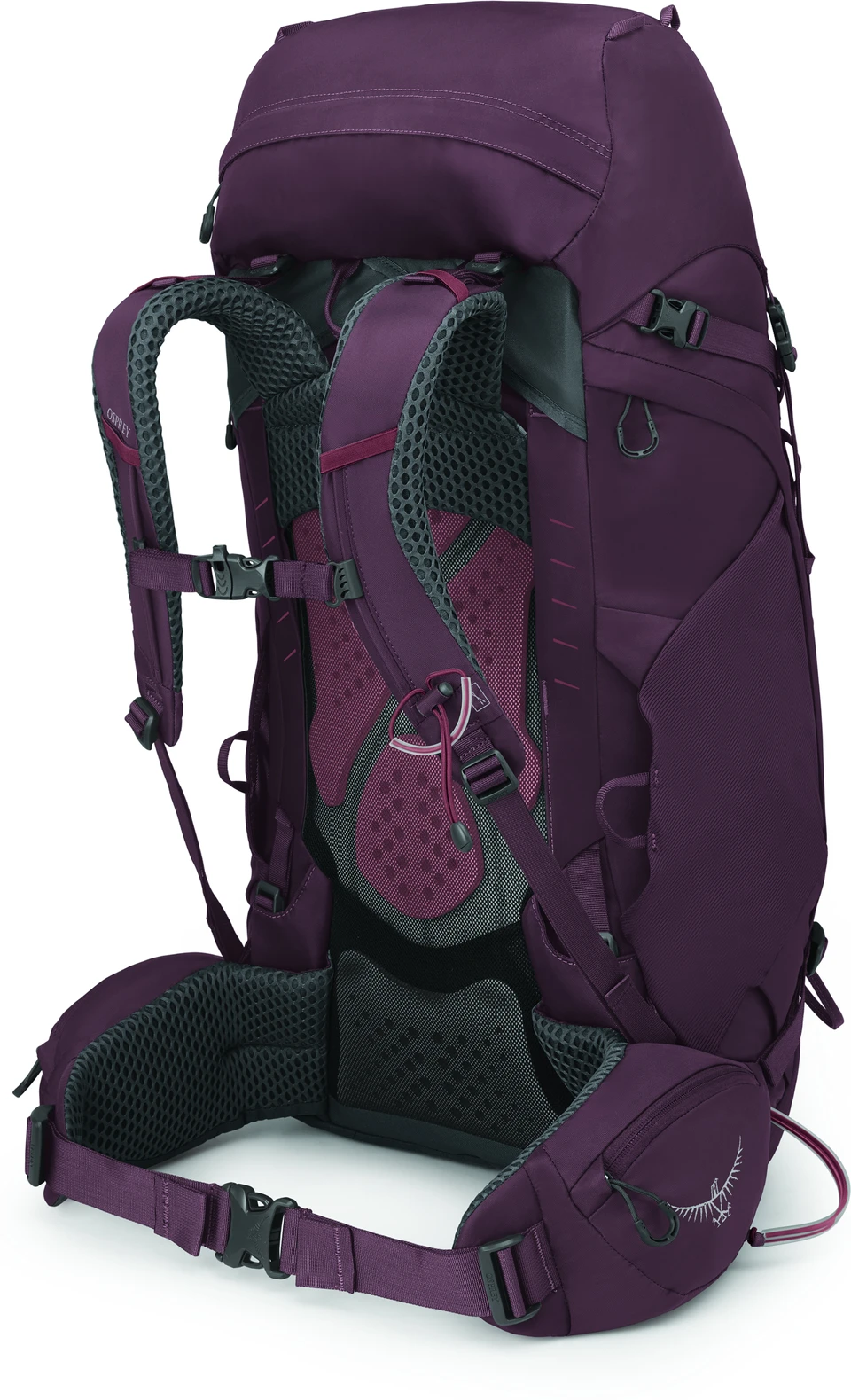 OSPREY Rucksack Kyte 48 7 OSPREY Rucksack Kyte 48 – Bild 5