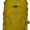 OSPREY Rucksack Syncro 12 2 OSPREY Rucksack Syncro 12 -Feinbier Unterwegs Geschäft 3170 523 BILD01 20230223