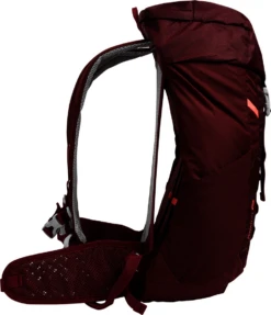 McKINLEY Rucksack Ux.-Wander-Rucksack Minah I VT 26 11 McKINLEY Rucksack Ux.-Wander-Rucksack Minah I VT 26 -Feinbier Unterwegs Geschäft 421772 903 BILD05 20230414