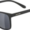ALPINA Herren Brille YEFE -Feinbier Unterwegs Geschäft A8647 331 BILD01 20211117
