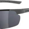 ALPINA Herren Brille DEFEY HR