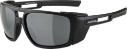 Herren Brille ALPINA SKYWALSH
