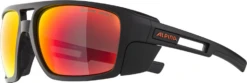 Herren Brille ALPINA SKYWALSH 17 Herren Brille ALPINA SKYWALSH -Feinbier Unterwegs Geschäft A8667 32 BILD04 20211117